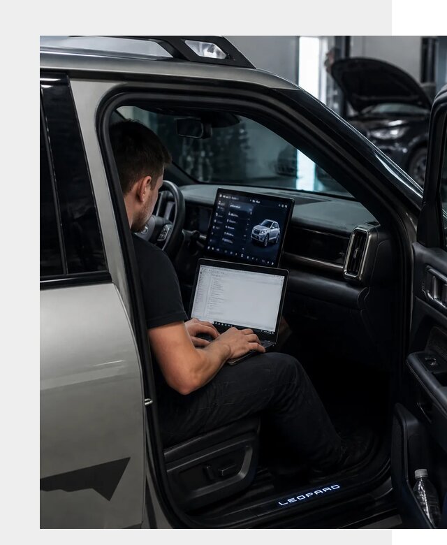 Русификация BYD Leopard 3 в Сарапуле по цене от 20545 р. | ФастМобиль-Срл